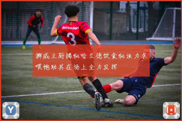挪威主厨揭秘哈兰德饮食秘诀力求喂饱助其在场上全力发挥